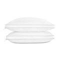 Luxury Feather Down Pillow Standard Queen Size Set of 2 (Standard Queen (Pack of 2))
