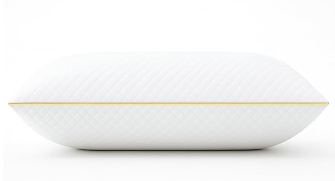 Queen Size Set of 2 (Queen (Pack of 2))