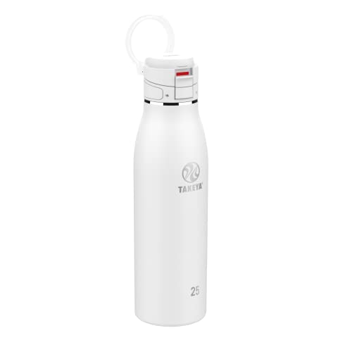 Traveler Stainless Steel Travel Coffee Mug with Flip (Arctic / 25 Ounces)