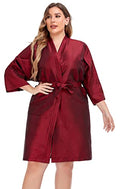 Salon Client Gown Robes Cape (Red)