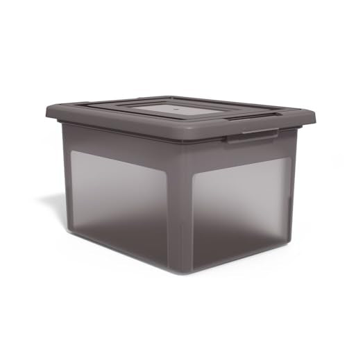 Plastic File Box with Snap Lid (Frost Gray)