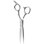 AOLANDUO Master Series VG10 Steel Professional Hair Cutting Scissors (Wet and Dry / 6.0 Inch)