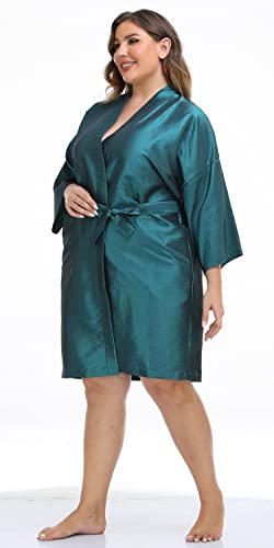 Salon Client Gown Robes Cape (Blue)