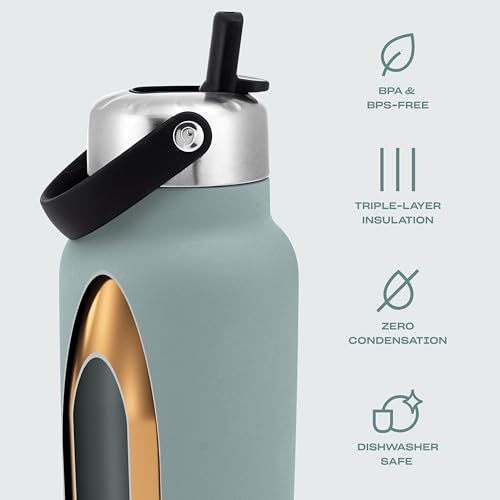 Recycled Stainless Steel Explorer with Flip Straw Lid (Eucalyptus / 32 Ounces)