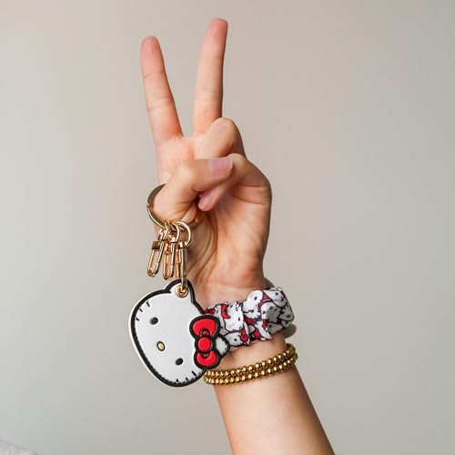 x Sanrio Character Keychain Case Compatible with Apple AirTag (Hello Kitty)