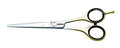 Silver Line Perfect Hair Cutting Shear with 22K Gold (6 Zoll/15.5 cm)