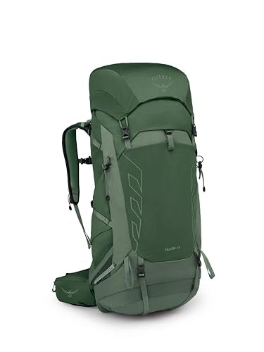 Talon 44L Men's Lightweight Hiking Backpack (Large-X-Large / Green Canopy/Pine Leaf)
