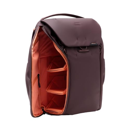Everyday Backpack 20L (20L / Eclipse)