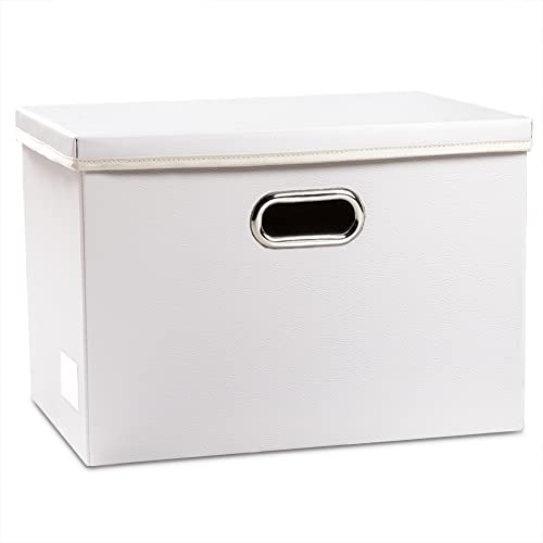 Large Collapsible Storage Box with Lid [1 (White / Large(1-Pack))