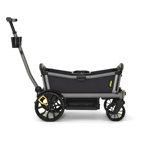 Cruiser City Premium Urban Wagon Stroller for Babies (Cruiser City 2 Seater)