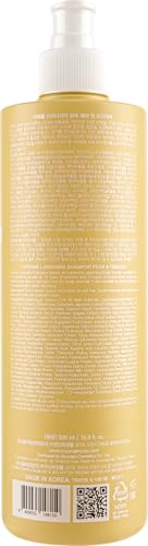 Laminaria Shampoo with Organic Ingredient (16.9 Fl Oz (Pack of 1))
