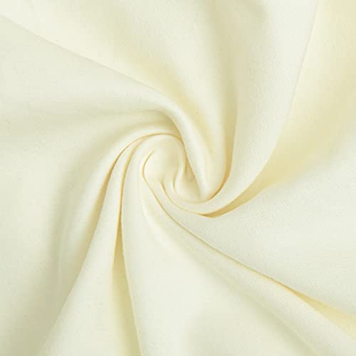Toddler Pillows with Pillowcases Set (Ivory (Microfiber) / 13x18 Inch (Pack of 2))