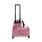 20" Kid's Ride (20" rose)