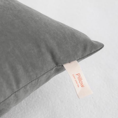 Toddler Pillows (Dark Grey / 13"x18")