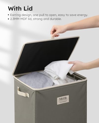100L Laundry Hamper with Lid (Cement / 100L)