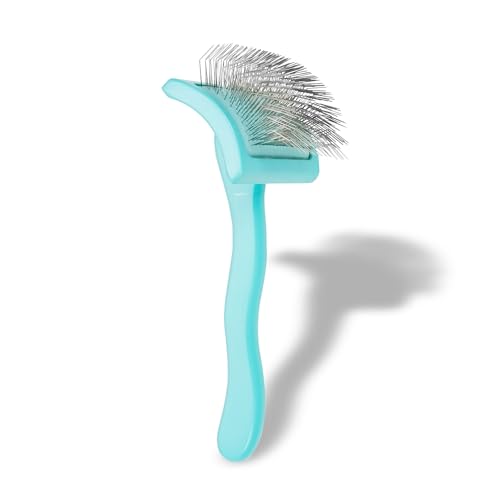 Big G Dog Slicker Brush for Dogs (Medium / Teal)