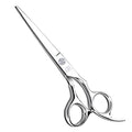 Professional Hair Cutting Shears (Silver)