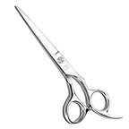 Professional Hair Cutting Shears (Silver)