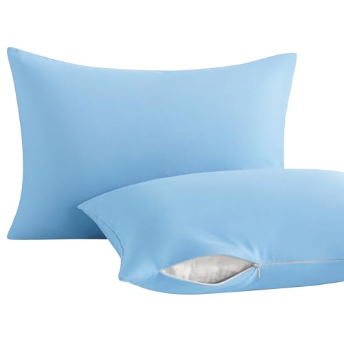Toddler Pillows with Pillowcases Set (Sky Blue (Microfiber) / 13x18 Inch (Pack of 2))