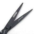 Professional Stainless Steel Hair Clippers (6-in Cutting Scissors)