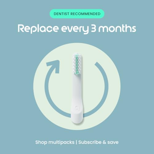 Sonic Electric Toothbrush for Adults (Sage)