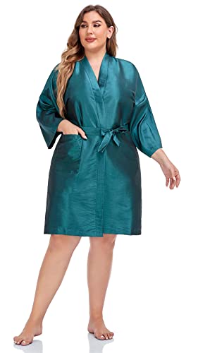 Salon Client Gown Robes Cape (Blue)