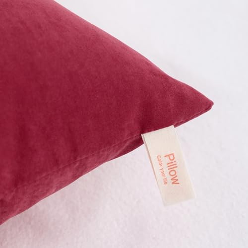 Toddler Pillows (Red / 13"x18")