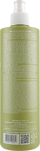 Laminaria Shampoo with Organic Ingredient (16.9 Fl Oz (Pack of 1))