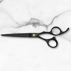 Scissors for Haircutting Professionals (7.0 Inches)