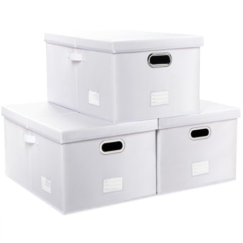 Collapsible Storage Box with Lid [3 (White / X-Large(3-Pack))