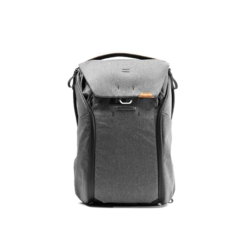 Everyday Backpack 30L (30L / Charcoal)
