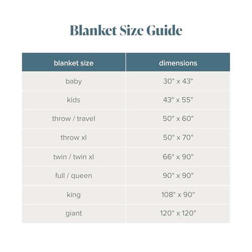 Fleece Blanket Luxury Microplush (Twin/Twin XL / 27 - Chevron Oyster)