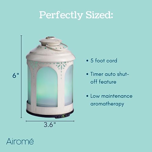Airome Chelsea Medium Cut (Rubbed Bronze)