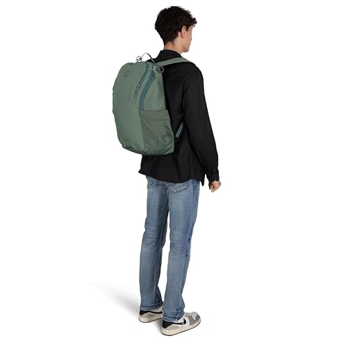 Astronova Campus Laptop Backpack (Pine Leaf Green)