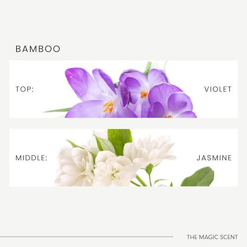 Bamboo Diffuser Oil Scents for Home (8.5 Fl Oz (Pack of 1))