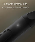 Pro Sonic Electric Toothbrush (Midnight Black)