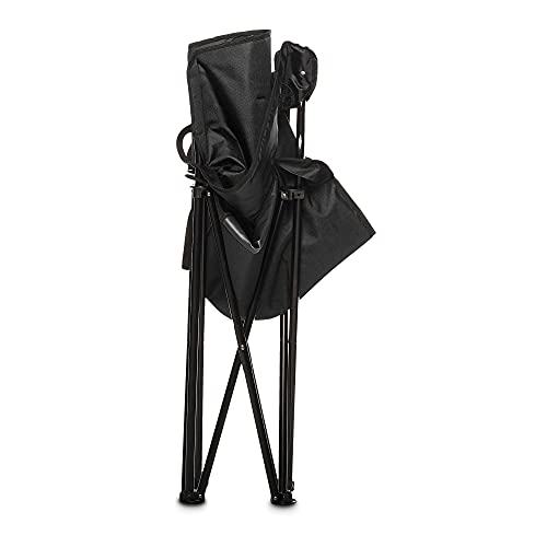 Portable Camping Chair with 4 (Large, Padded)