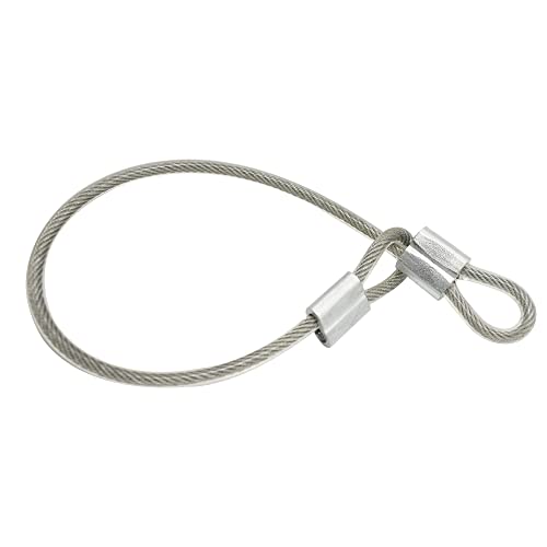 10 Pcs 5mm Wire 12 inch Vinyl Coated Stainless Steel Cable with Loops Short Wire Rope Lanyard Lock Security Chain Link for Outdoor Gates (5mm(T) x 12 in(L) 10PCS / Clear)