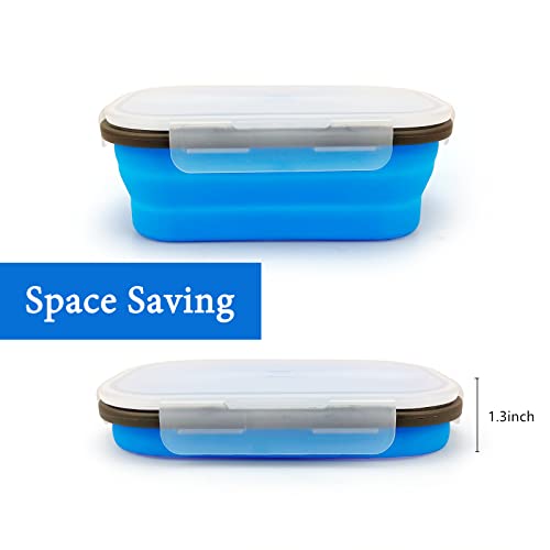 Collapsible Lunch Box Containers (09B01)
