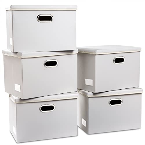 Large Stackable Storage Bins with Lids [5 (White / Large(5-Pack))