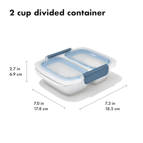 Good Grips Prep & Go 2 Cup Divided Food Storage Container (2 Cup Divided / Ocean Blue)