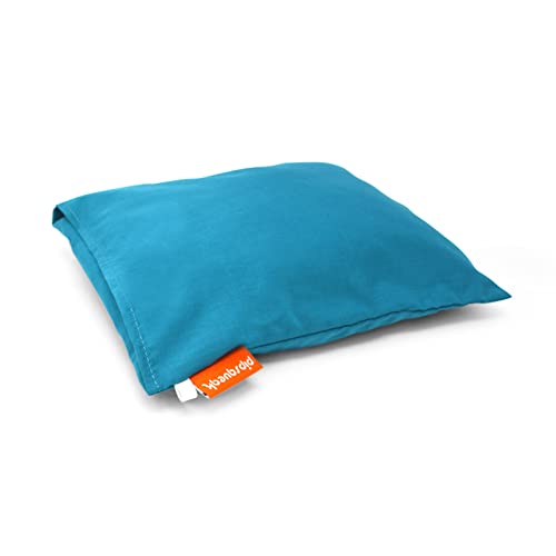 Pipsqueak Pillow (Blue)