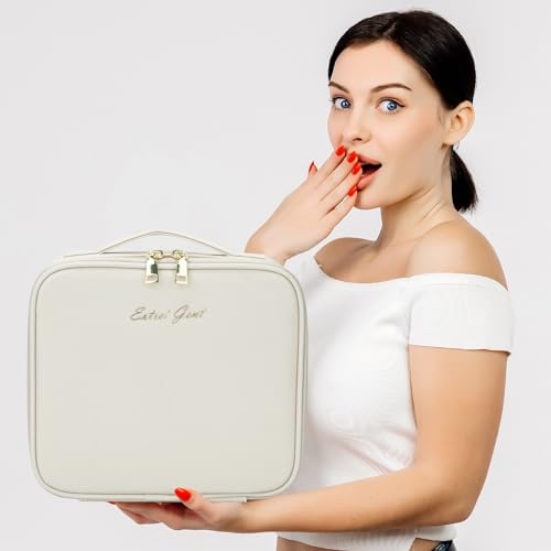 Makeup Travel Train Case with Mirror LED Light 3 Adjustable Brightness Large Cosmetic Bag Portable Storage Adjustable Partition Waterproof Make up Brushes Makeup Jewelry Gift for Women (Light Gray)