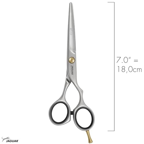 Pre Style Relax Hairdressing Scissors 7" Long (Classic / 7.0 Inch)