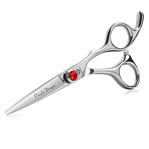 5.0 inch Silver Barber Hair Cutting Scissors (5 Inch (Pack of 1))