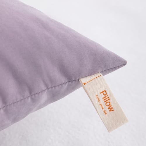 Toddler Pillows (Lavender / 13"x18")