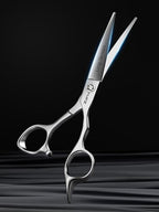 Hair Cutting Scissors Professional (Classic Style / 5.5 inches)