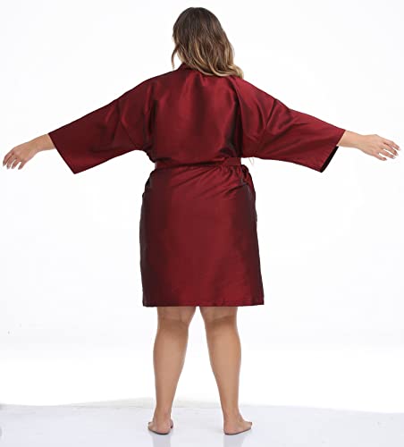 Salon Client Gown Robes Cape (Red)