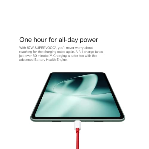 Pad 11.61" LCD Display
