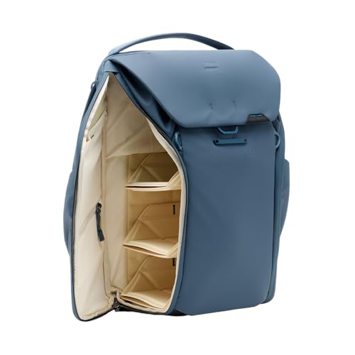 Everyday Backpack 20L (20L / Ocean)